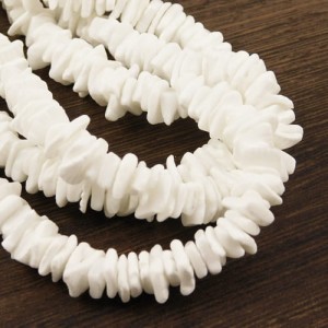 Muszla talarki 6-10x5-7x1-2mm białe (25szt.)