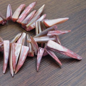 Muszla naturalna barwiona różowa kły 15-30x6-7mm (70szt.)
